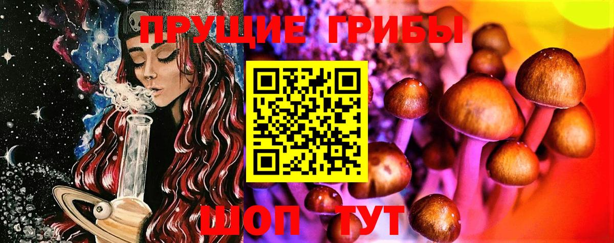 где продают   Псилоцибиновые грибы Cubensis  Вход с VPN  Апшеронск 